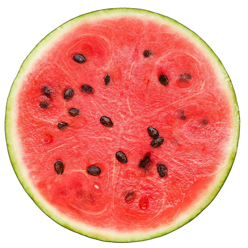 â������ ��մ� ���� ���, ħ��, ����, ���� ��, ����� Ins ��Ÿ�� �ùķ��̼�, ���� �̺�, �繫�� ���� ������