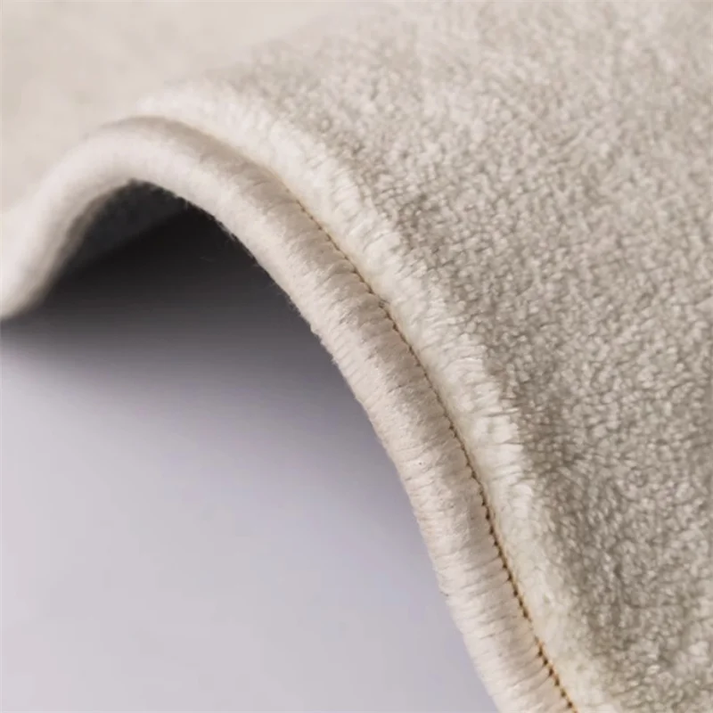 Modern Simple Living Room Decoration Carpet Home Bedroom Bedside Large Plush Carpets Light Luxury Cloakroom Soft Non-slip Rug 6