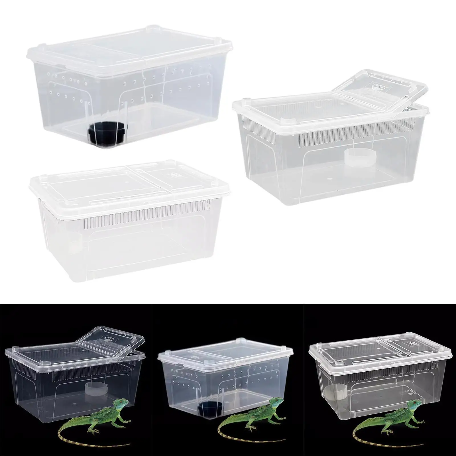 Reptile Feeding Box Hatching Container Cage Transparent House Breeding Box for Frog Turtle Bearded Dragon Scorpion Snake Reptile Feeding Box Hatching Container Cage Transparent House Breeding Box for Frog Turtle Bearded Dragon Scorpion Snake