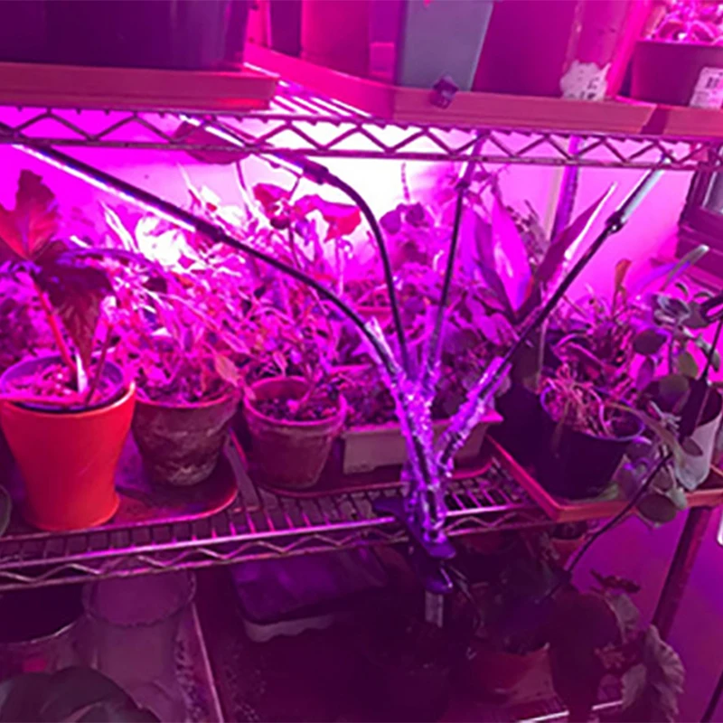 Description Picture 4 of itemDimmable LED Plant Grow Light USB Full Spectrum Clip Phytolamp 5V Growth Lamp for Indoor Greenhouse Flower Seedling Potted Plant