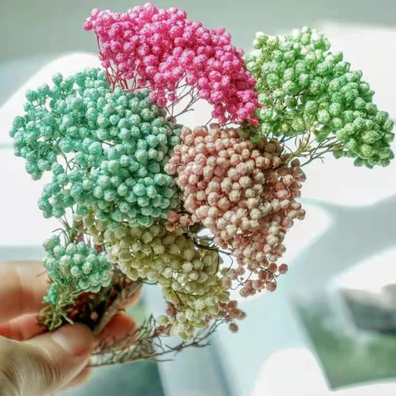 

50 Grams Of Natural Millet Fruit Dried Flowers Wedding Garden Decoration Outdoor Artificial Flowers For Decoration Pampas