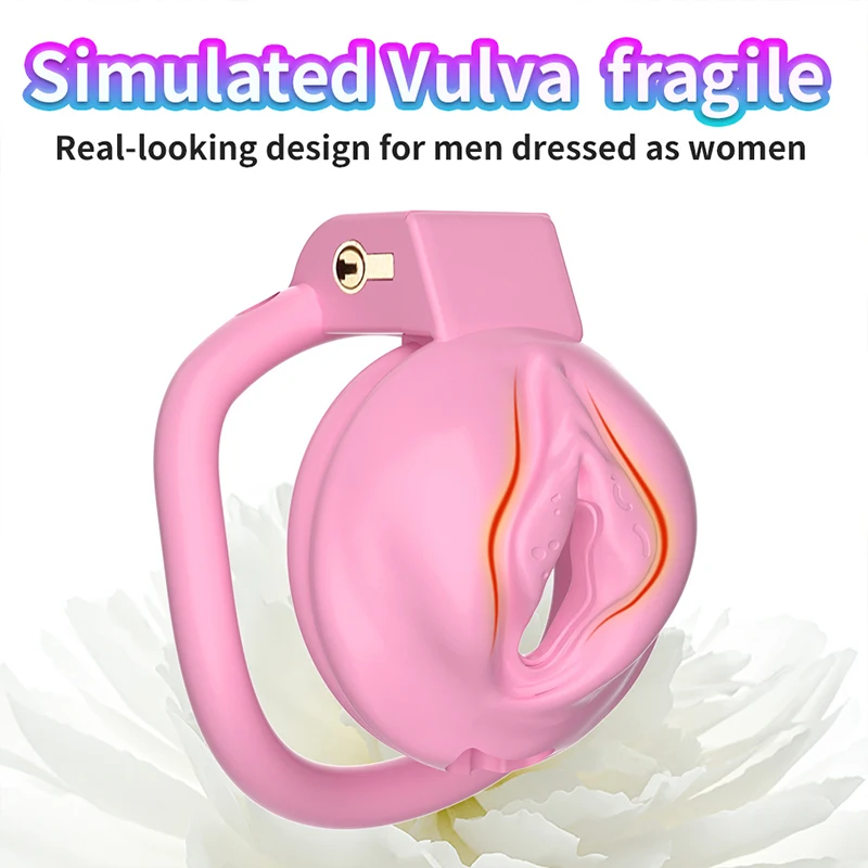 Sex Toys for Men Slave Training Chastity Lock Mesh Breathable Cock Ring hide Penis Abstinence from sexual activity Bondage Gay Penis Chastity Cage Chastity Lock Sex Toy Chastity Cage Accessory Penis Cock Ring Shibari Bondage Accessory
