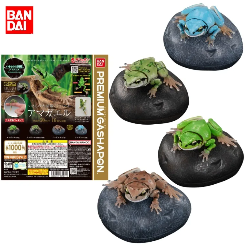 

Bandai Original The Diversity of Life on Earth Anime Figure rain frog Action Figure Toy For Kid Gift Collectible Model Ornaments