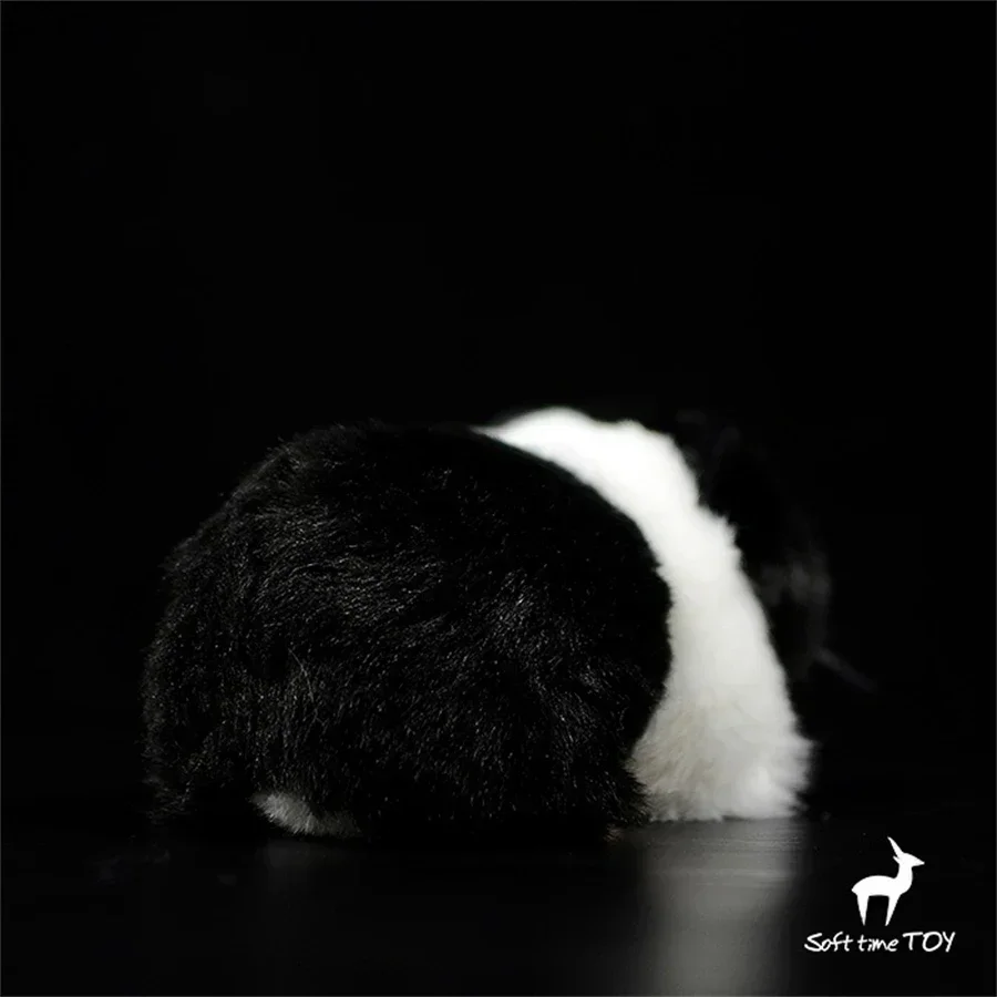 기니피그 인형 장난감, 실제같은 강아지 인형, 카비 인형, 실물같은 햄스터 봉제인형, 마우스 시뮬레이션 인형, 연인들을 위한 선물