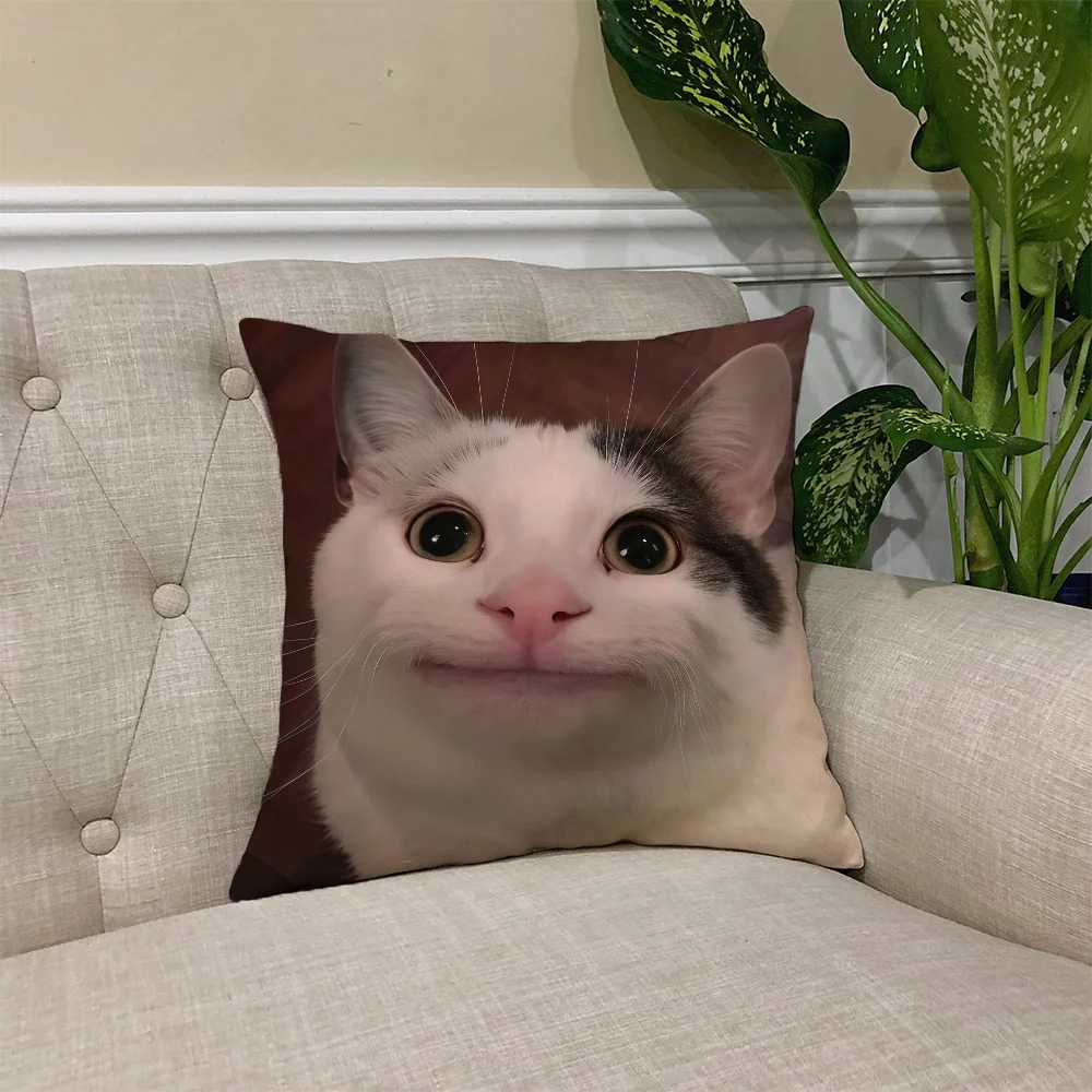 Humorous Cat Meme Skin-Friendly Sofa Cushion Cover