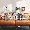 Custom Pets Cushion Personalized Filling Pets Photo Cushion DIY Pillow for Putting Picture of Cats and Dogs Home Decor 1