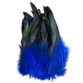 Royal blue