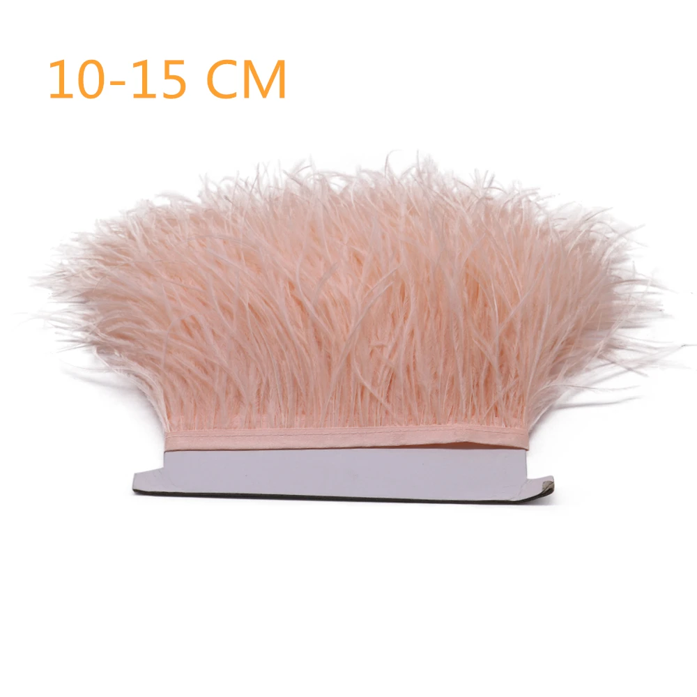 10-15cm champagne