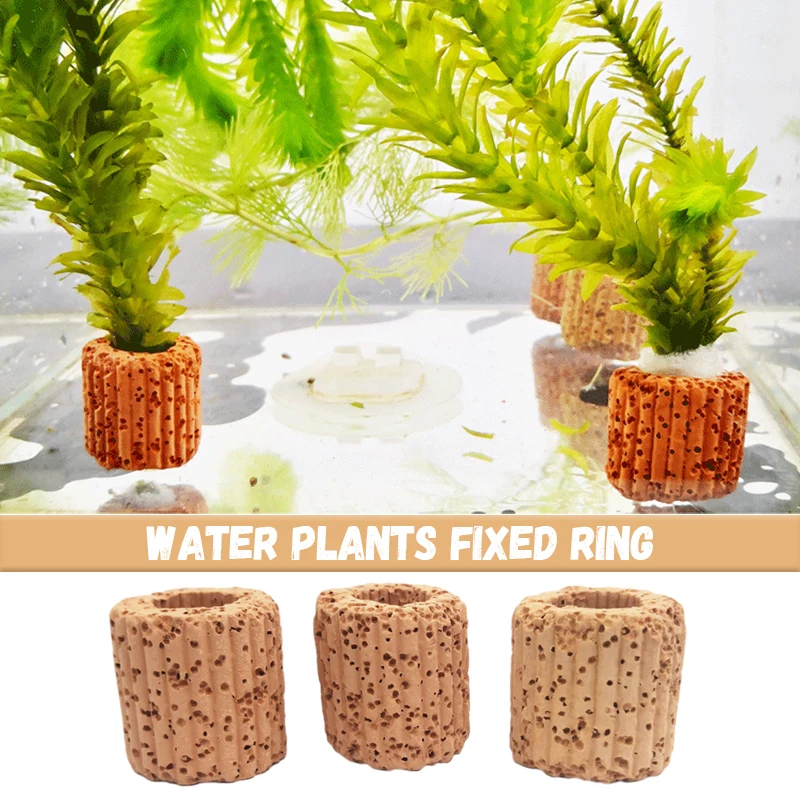 Fish Tank Decorations Aquarium Ornaments 10/20/50Pcs Aquatic Water Plant Fixed Ring for Aquarium Landscape Ceramic Plant Pot Ring Tool Decorations Fish Tank Accessories