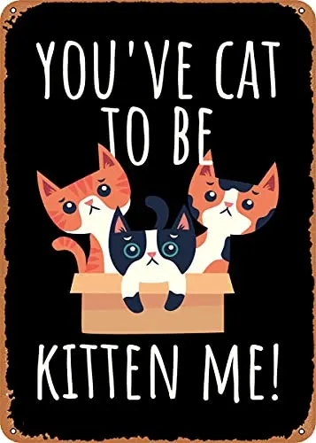 

Youve Cat to Be Kitten Me Vintage Look Metal Sign Patent Art Prints Retro Gift 8x12 Inch
