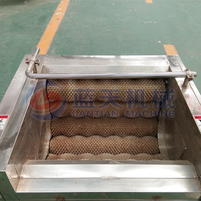 Best Selling Fruit And Vegetable Purifier Carrot Ginger Potato Brush Washing Machine And Slicer Dry Palm Dates Cleaning Machine 2