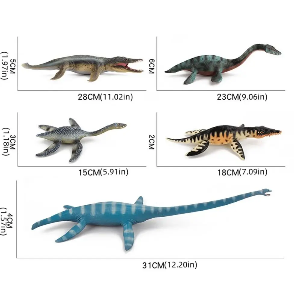 Plesiosaur Prehistoric Biological Model Kronosaurus Thalassomedon Jurassic Ancient Animal Animals Model Action Figures