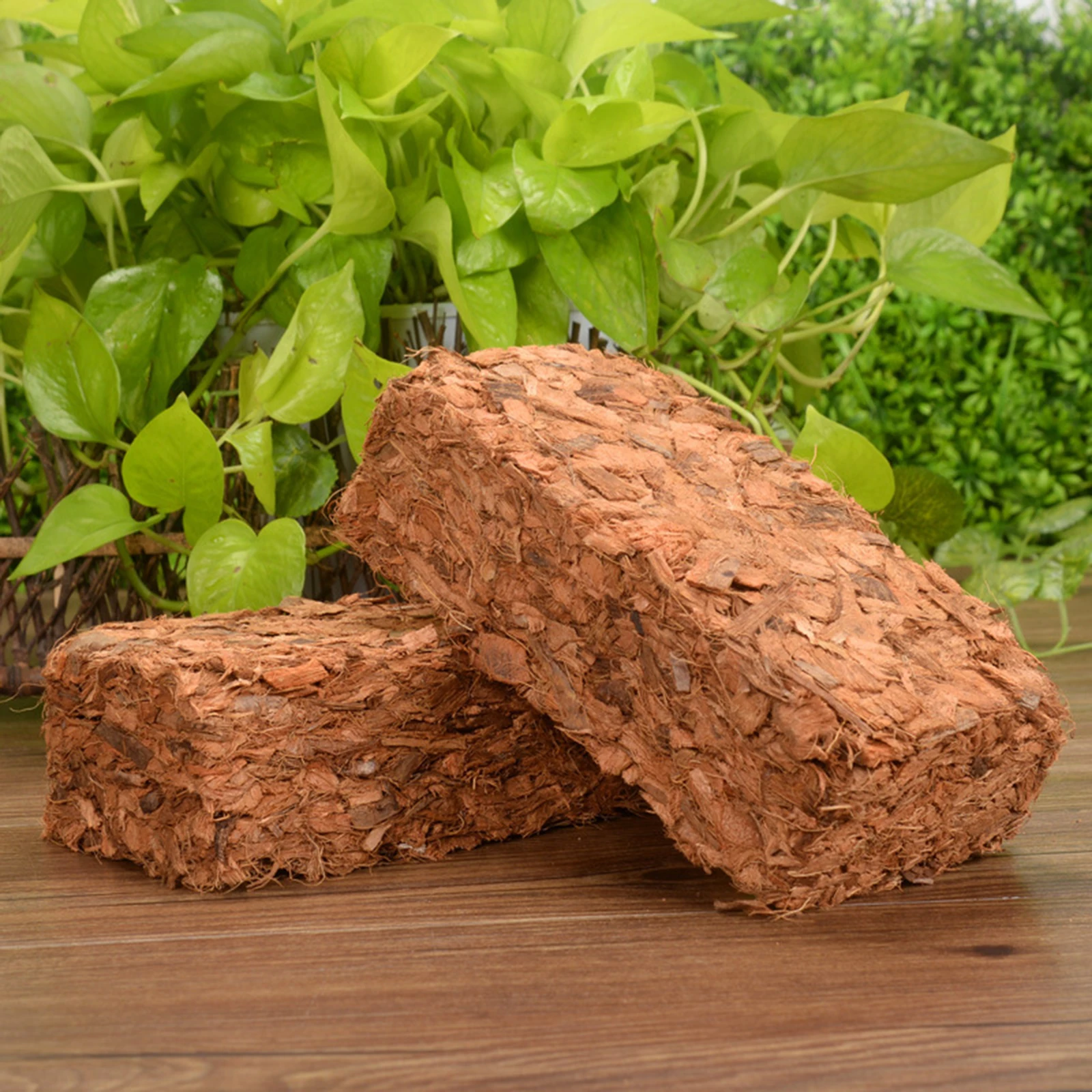 Ladrillo de coco para plantas, 4 paquetes de fibra de coco comprimida 100%  natural orgánica con bajo equilibrio de EC y PH, fibra de coco de alta