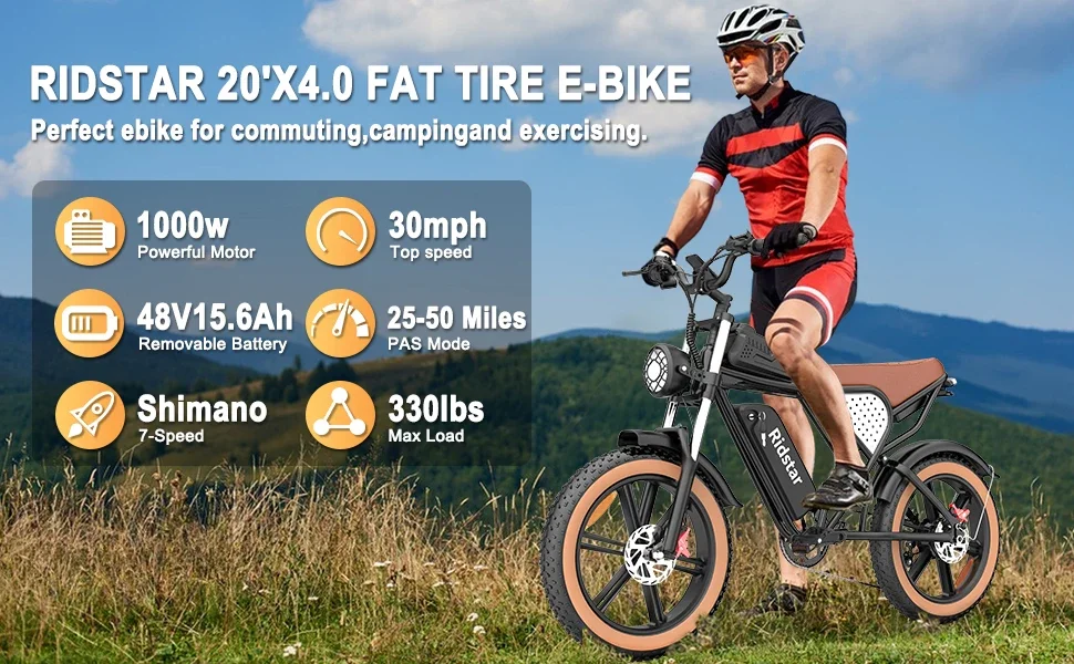 1000W Electric Bike for Adults