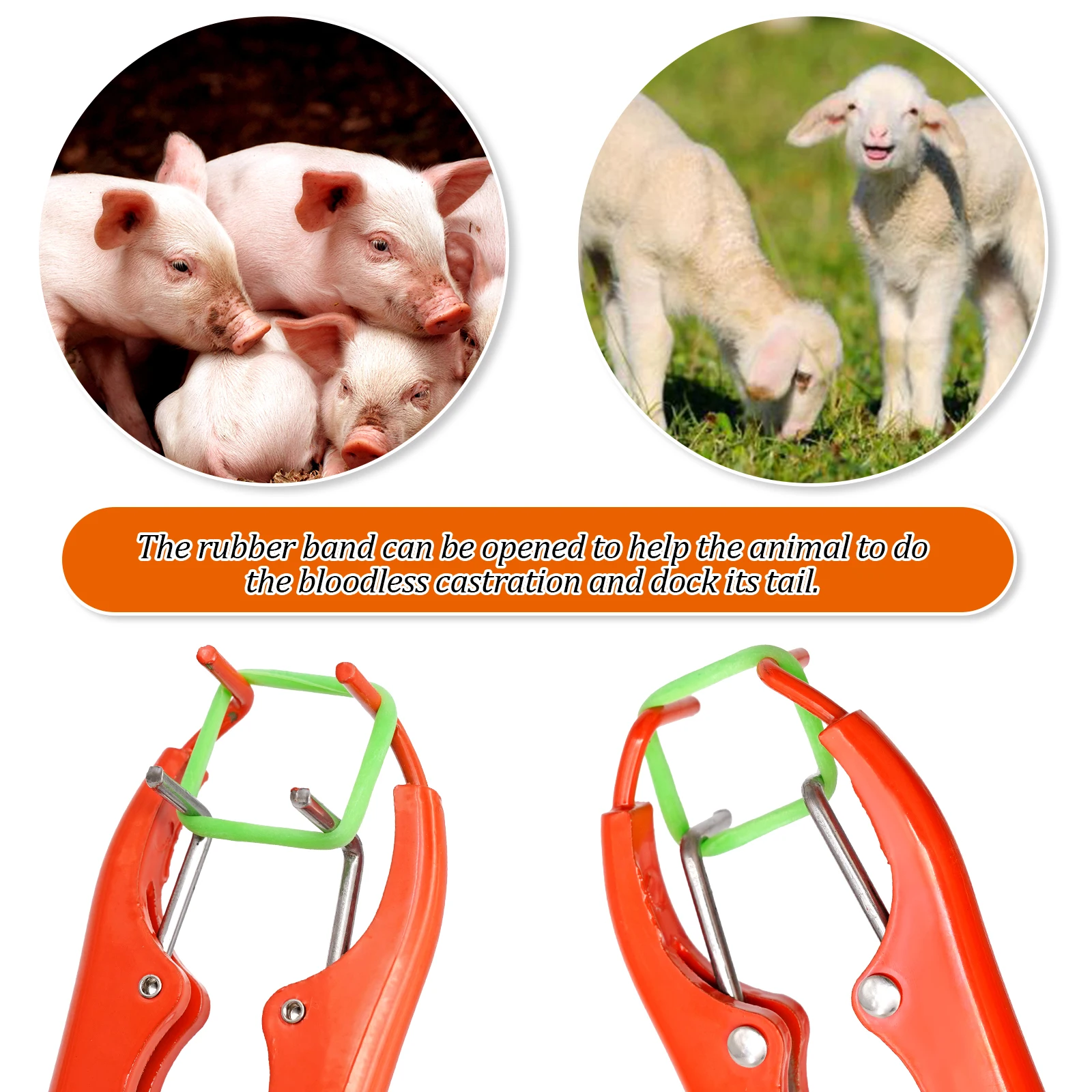 Livestock Pig Goat Castration Forceps Expansion Clamp Elasticity Rubber Castration Rings Farm Animal Bloodless Broken Tail Plier 5