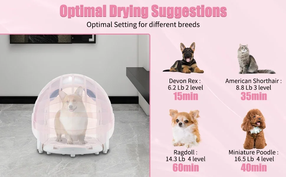 Foldable Pet Drying Box, 360° Airflow Drying Machine for Cats & Dogs