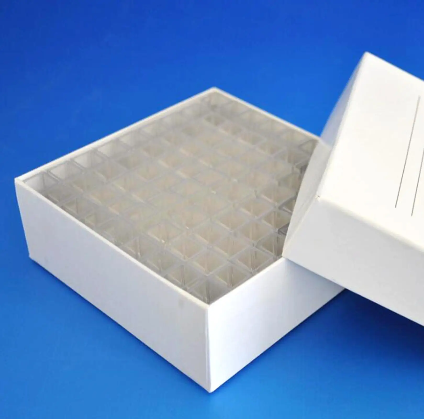 81PcsABox45MlSquarePlasticTestTubesVialsContainerCraft