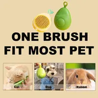 New Small Brush for Dogs and Cats Avocado Orange Style Fruit-Shaped Decompression Needle Comb Dry Massage Comb 5