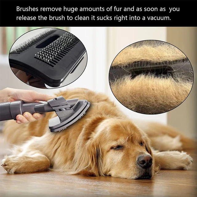 Brosse De Toilettage Groom Pour Chiens - Aspirateur - Dyson