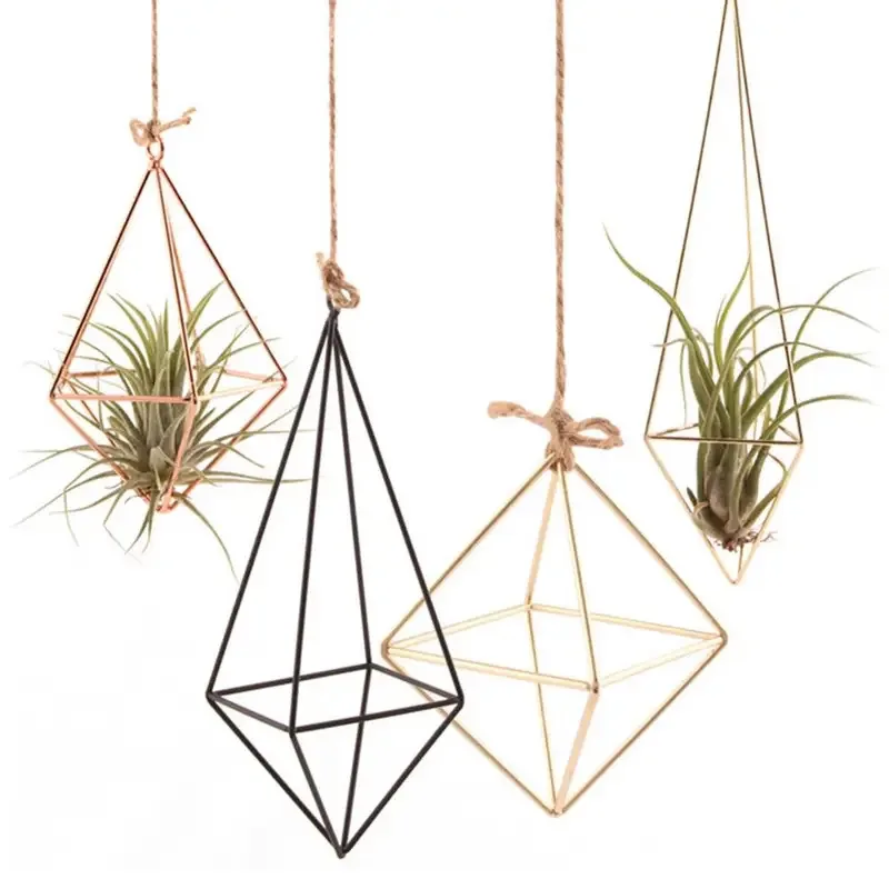 Elegant Wall-Mounted Macrame Plant Hanger for Indoor & Outdoor Décor