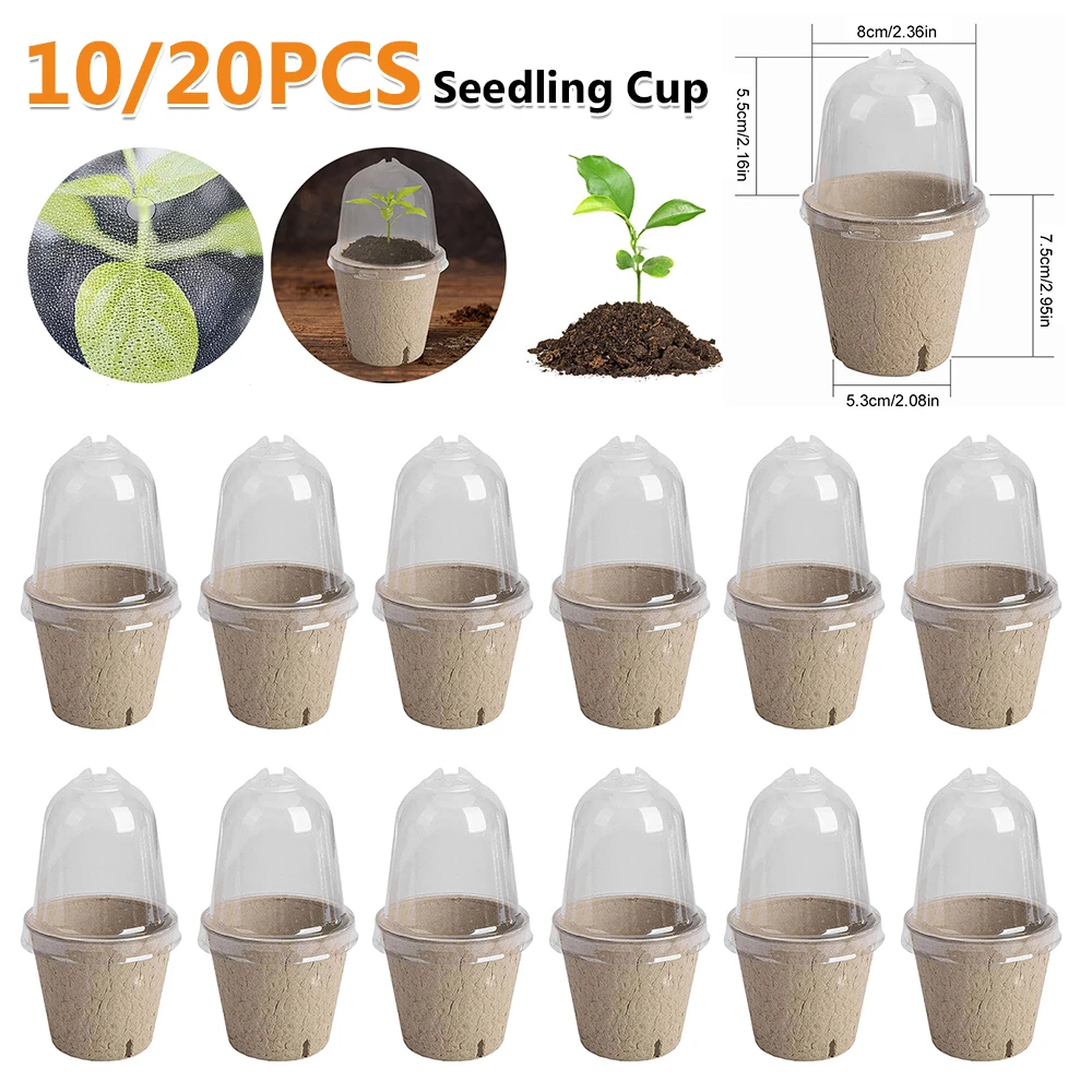 10/20PCS Seedling Cup Germination Planter Transparent Lid Greenhouse Breeding Box Biodegradable Versatile Gardening Supplies