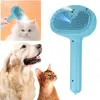 Self-cleaning Pet Hair Remove Comb Multi-Function Electric Spray Steam Brush For Cats Grooming Brushes Dog Combs Pet Supplies 1