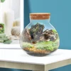 2Pcs Glass Terrarium Ecological Bottle Plant Vase Desktop MicroLandscape Bottle Transparent Glass Moss Crafts Mini Landscape 2