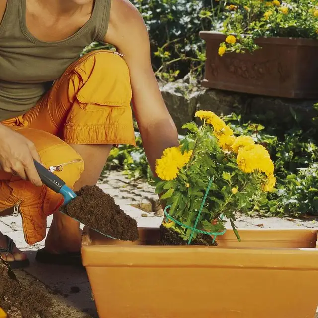 Orchard Kerti Növényi Tartó Téthalom Keret Műanyag Virágállvány Rögzítő Rúd Bonsai Szerszám Üvegházak Paradicsom Bazsarózsa - Image 3