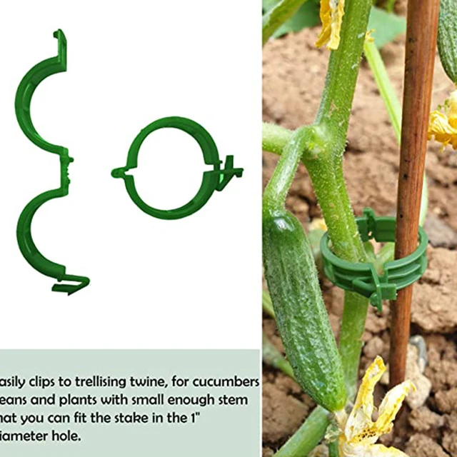 100 Darabos Növényi Klipek Újrahasznosítható Rögzítő Műanyag Szőlőkötegek Támogatják A Szerszám Kertészkedelmezőinek Rögzítését Zöldség Paradicsomhoz - Image 4