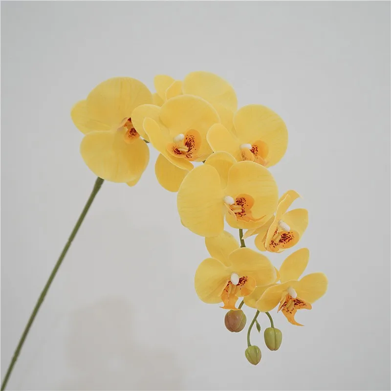 9 heads yellow