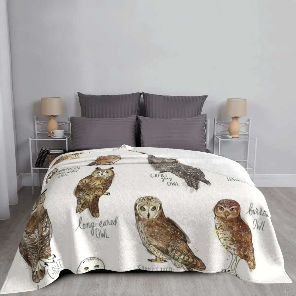 �û��� ������ ���, ��� ���, �� ���