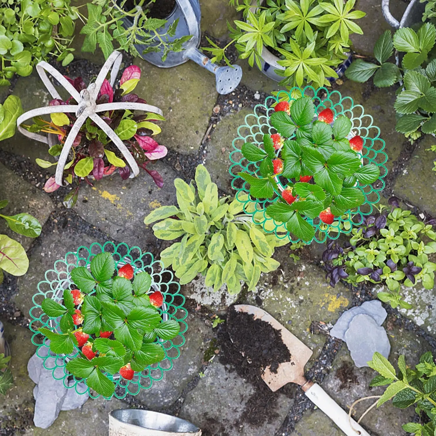 2/5/10Pcs Strawberry Support Stands with 3 Sturdy Legs Strawberry Growing Racks Berries Growing Frame Holder for Garden Homegrow plastic plant supports,plant support racks