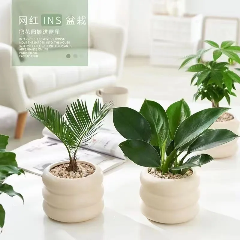 Simple Ceramic Flowerpot Office Desktop Green Plant Flowerpot Wind Silver Small Vase Flower Arrangement Decor Desktop Ornament 4