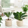 Simple Ceramic Flowerpot Office Desktop Green Plant Flowerpot Wind Silver Small Vase Flower Arrangement Decor Desktop Ornament 4