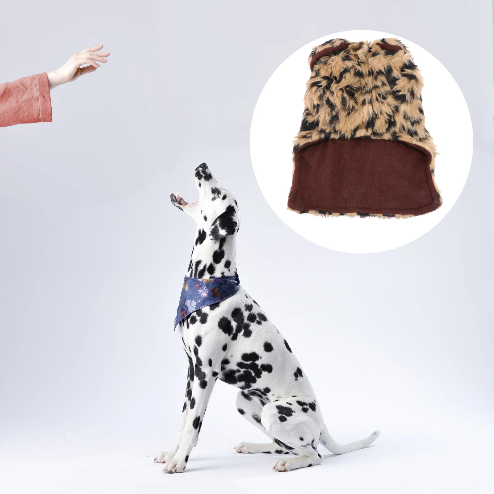 

Children's Pajamas Leopard Dog Jacket Keep Warm Xs Flush Clothes Overcoat Keeping