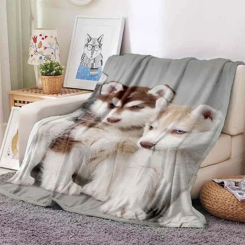 �����ϰ� �ƴ��� �㽺Ű �� ���� �ö��� ���, ����, ħ��, ����, �繫�ǿ�, �ε巴�� �ε巯�� ������ �μ� ���