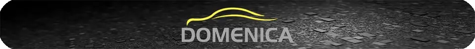 5-Gang-Neuer ABS-Schaltknauf für Peugeot 306 307 301 206 207 408 308 508 2008 C4L C2 für Citroen C-Quatre C-Triomphe Elysee – Detail 1