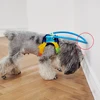 Pet Collar Blind Pet Anti-collision Collar Dog Guide Training Behavior Aids Fit Small Big Dog Prevent Collision Collars Supplies 1