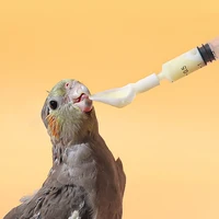 Bird Parrot Feeder Spoon Baby Bird Milk Medicine Feeding Tools Baby Bird Feeding Spoon Bird Supplies 2