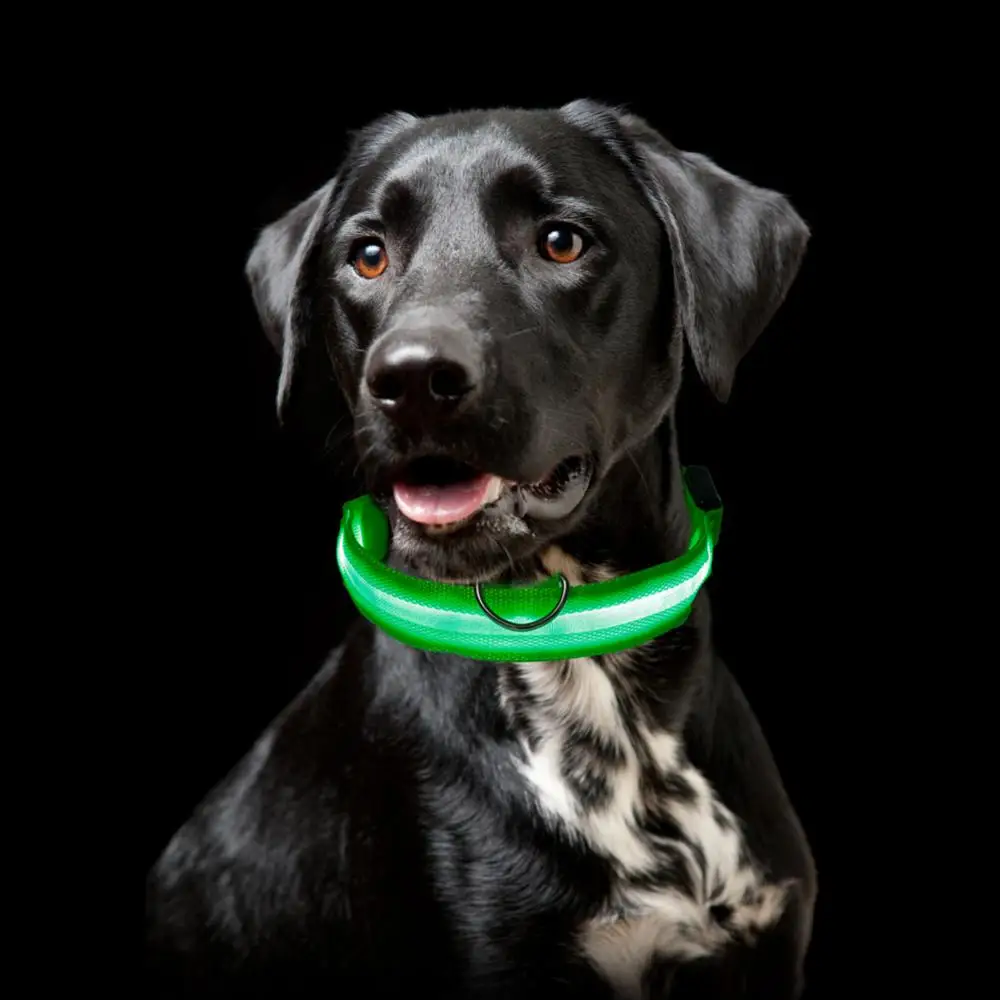 Title 19, Safety Led Dog Collar Luminous Usb Cat Dog Coll...