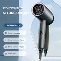 High Speed Hair Dryer 2200 Watt Powerful Negative Ion Professional Hair Care for Travelling Home Hairdressing Salon Hair Dryer 2
