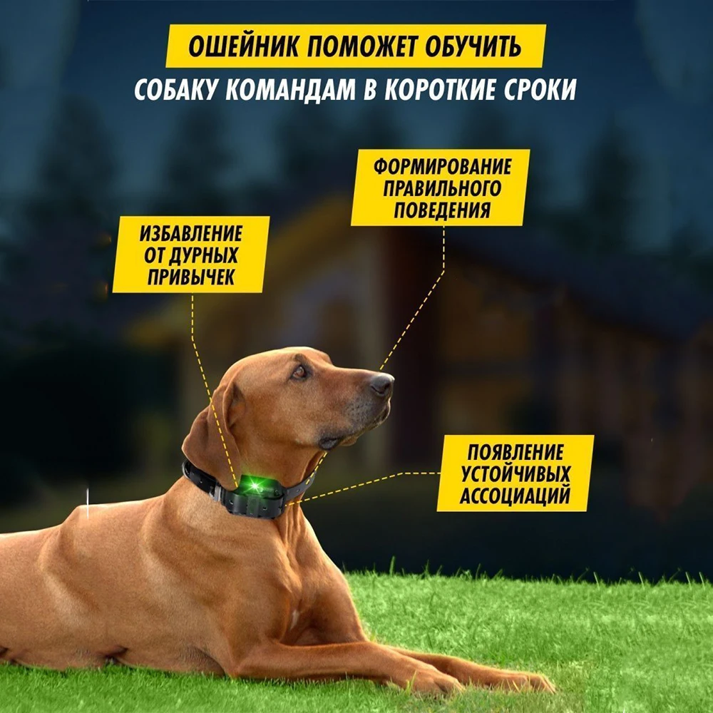 Dog Collar Dog Shock Collar with Remote Dog Training Collar for Large Medium Small Dogs Waterproof Rechargeable