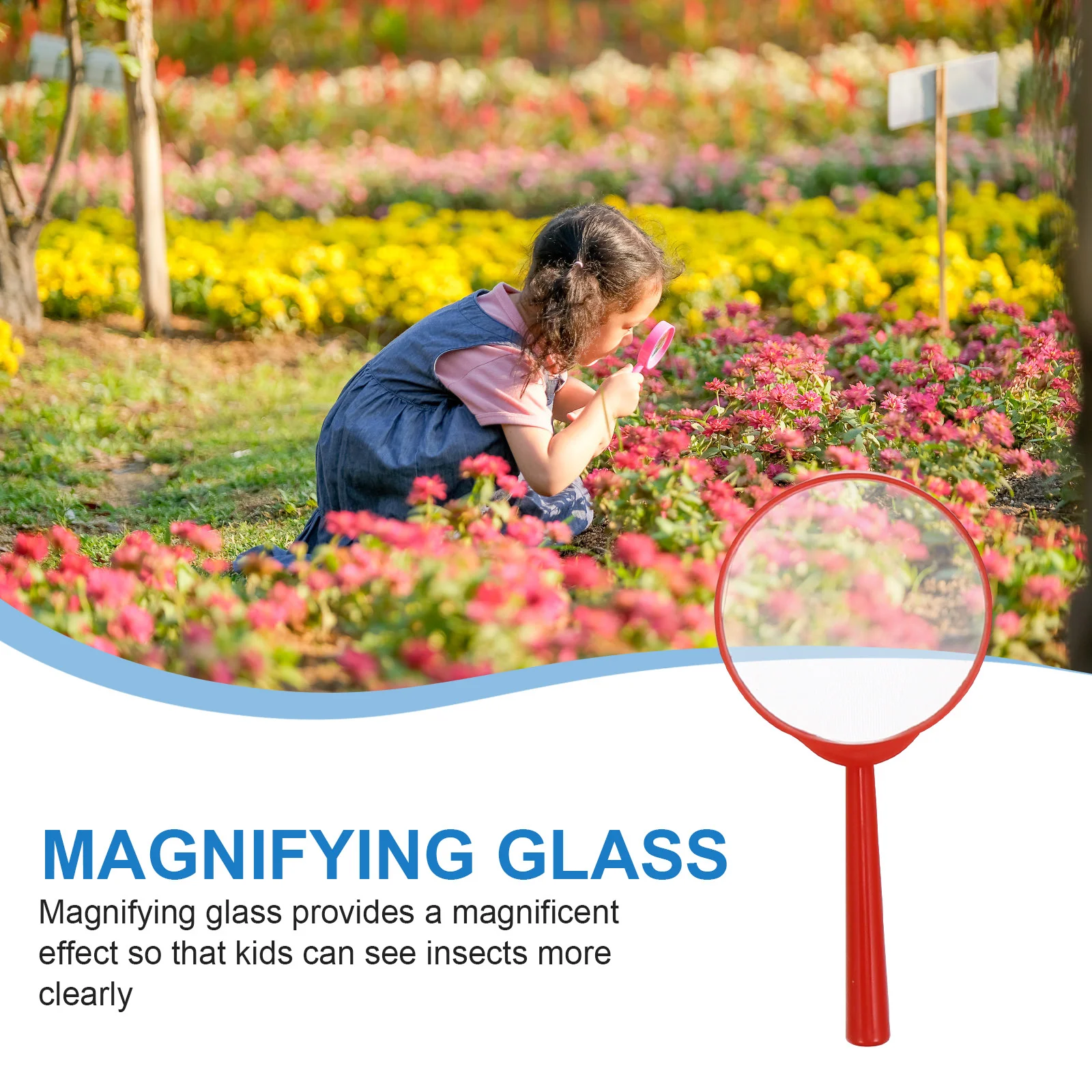 Set Insect Observation Box Child Toddler Bug Catcher Kit For Kids for Little Critters Butterfly Bucket Kids Abs Acrylic 2