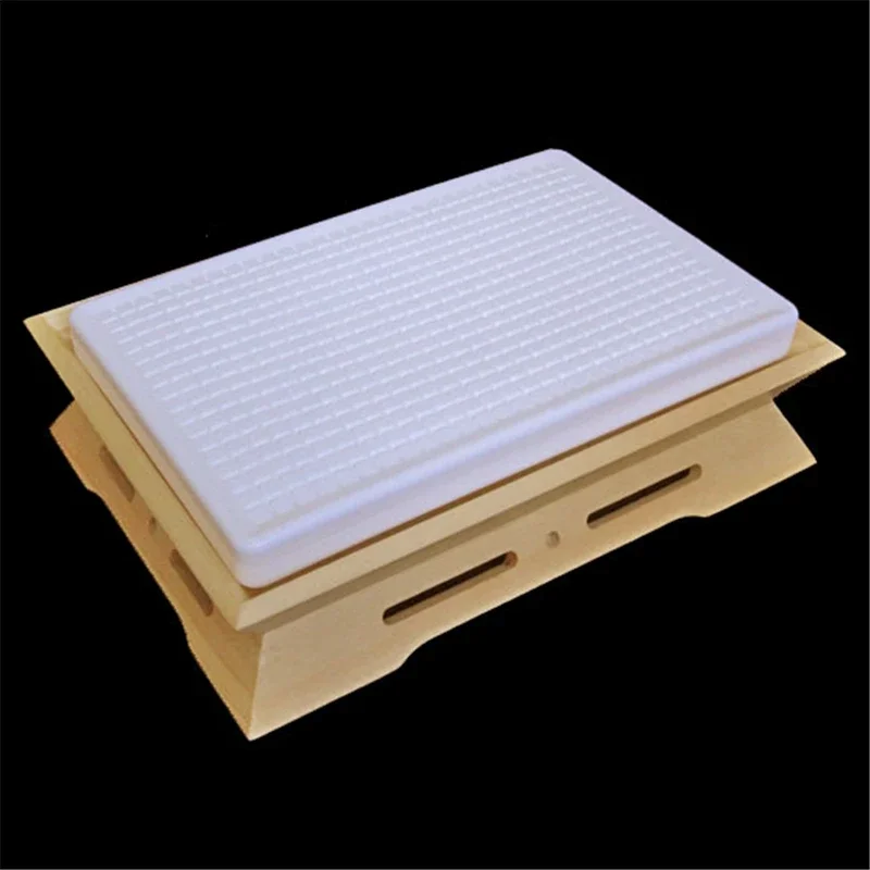 Japanese sushi plate Wooden creative container Japanese Korean tableware Sashimi Platter Bread plate Double sided cooking box