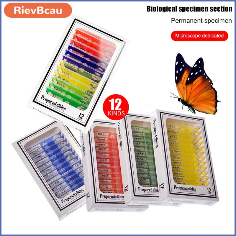 RIEVBCAU 48 Pcs Prepared Plastic Microscope Slides Set Specimen Biological For Children Student Enlighten Education
