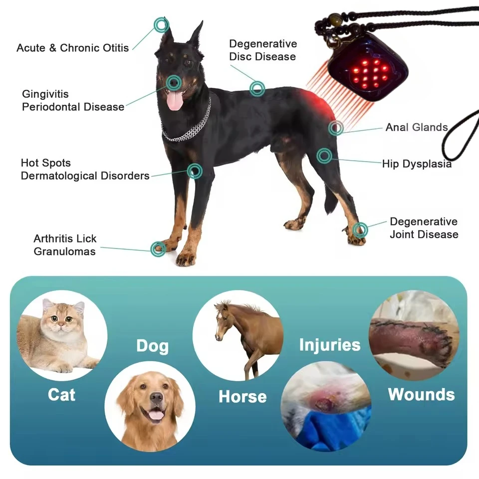 Portable Red Light Therapy Vet Device for Dogs 405 to 650 Cold Laser Therapy for Pain Relief MuscleJoint Pain from Dog Arthritis