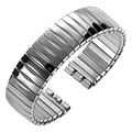 Polished Silver