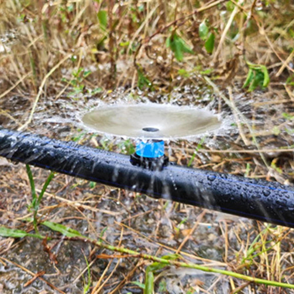 ������ ���� �̹��� �帮��, ����� ���� ������Ŭ��, ���� ���� ��� ���� �ý���, 20 ��, 100 ��