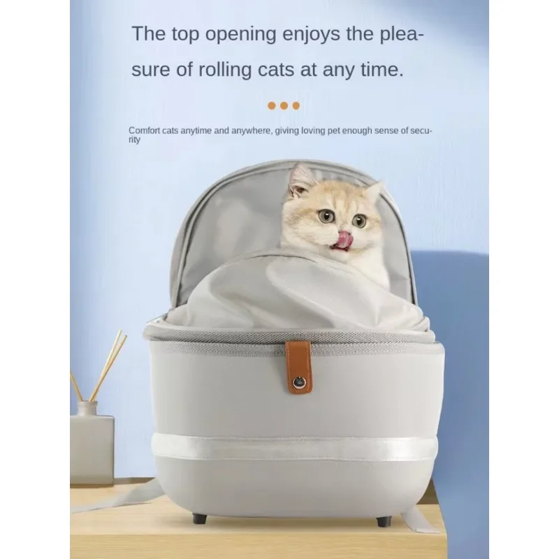 Luxury Dog Designer Pet Cat Carrier Backpack Transparent Portable Spring Summer Cat Got Out Bag Large Capacity Puppy Travel Bag