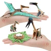 Dinosaur Growth Cycle Dinosaur Model Toy Animal Life Cycle Board Children Toys Montessori Teaching Aids preschool cognitive Toys 2